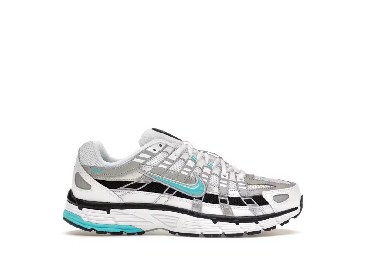 Nike P-6000 Dusty Cactus